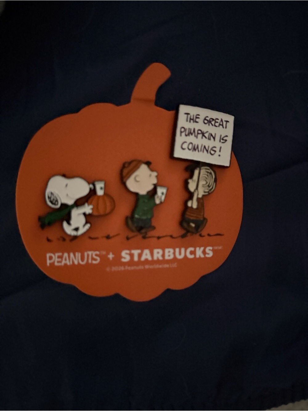 Starbucks x Peanuts pins